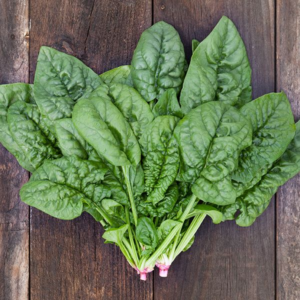 Bloomsdale Spinach