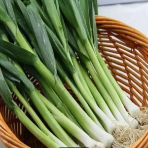 Leafy (Green) Garlic