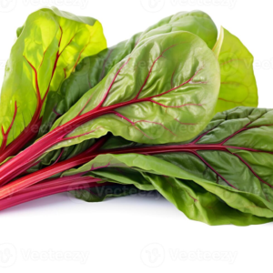 Swiss Chard
